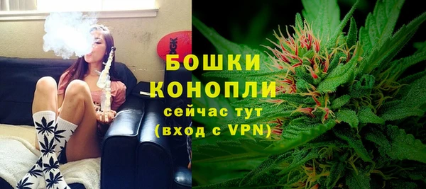PSILOCYBIN Арсеньев