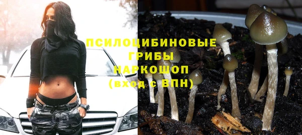 apvp Армянск