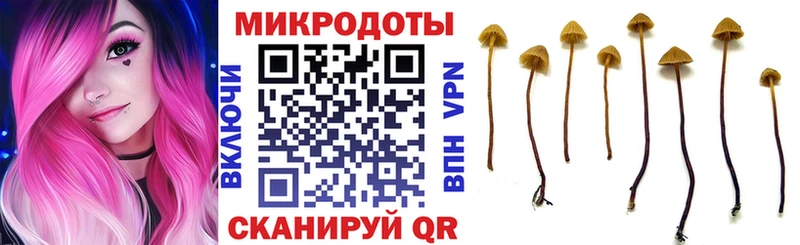 omg зеркало  продажа наркотиков  Судак  Псилоцибиновые грибы Psilocybine cubensis 